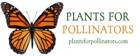 Plants For Pollinators